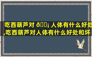 吃西葫芦对 🐡 人体有什么好处,吃西葫芦对人体有什么好处和坏处